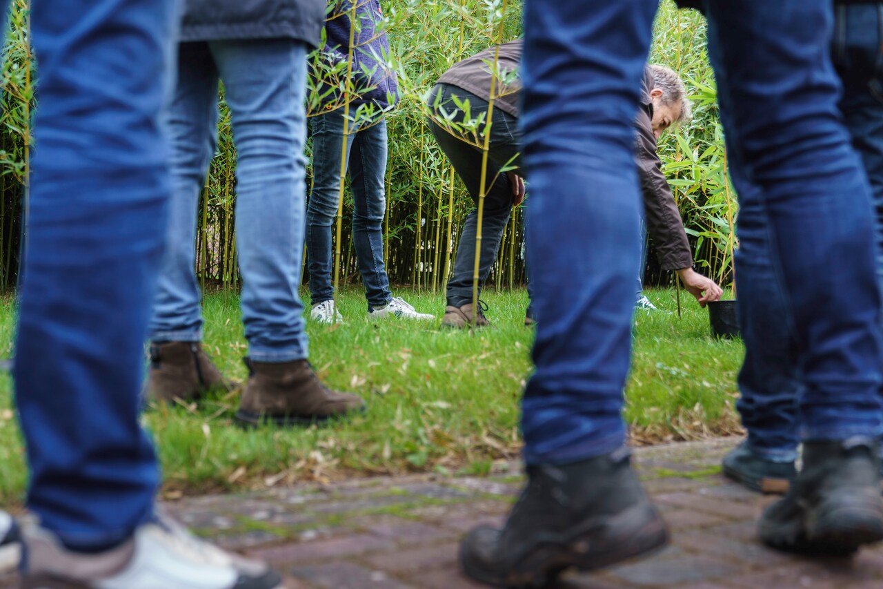 Deelnemers aan de excursie van Bamboologic aan Bamboo Spirit in Kloosterburen